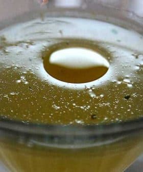 Close-up view of a cocktail in a glass with bubbles and a circular reflection on the surface. - Olive Oil Times