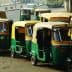 Multiple green and yellow auto rickshaws parked on a street in an urban area. - Olive Oil Times