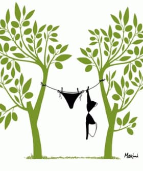 Black bikini and swim bottoms hanging on a clothesline between two stylized green trees. - Olive Oil Times