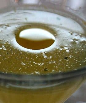 Close-up of a cocktail in a glass with bubbles and a circular garnish. - Olive Oil Times