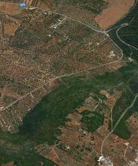 Aerial view showing an olive grove and diverse agricultural land with winding roads. - Olive Oil Times