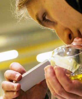 Individual examining olive oil in a glass using a measuring device for analysis. - Olive Oil Times