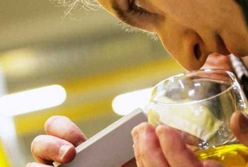 Individual examining olive oil in a glass using a measuring device for analysis. - Olive Oil Times