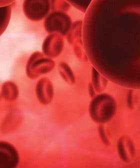 Close-up view of red blood cells in a fluid medium, showing their circular shape and color. - Olive Oil Times