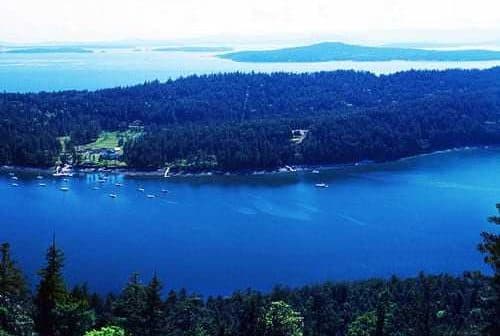 Aerial view of a coastal landscape featuring dense forests and a blue body of water. - Olive Oil Times