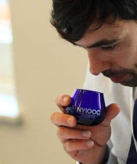 A man holding a blue glass with 'NYIOOC' while smelling its contents during an olive oil tasting. - Olive Oil Times