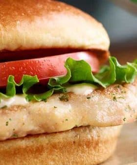 Grilled chicken sandwich featuring lettuce, tomato, and mayonnaise on a bun. - Olive Oil Times