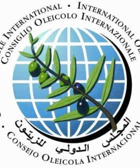 Logo of the International Olive Council featuring an olive branch and globe design. - Olive Oil Times