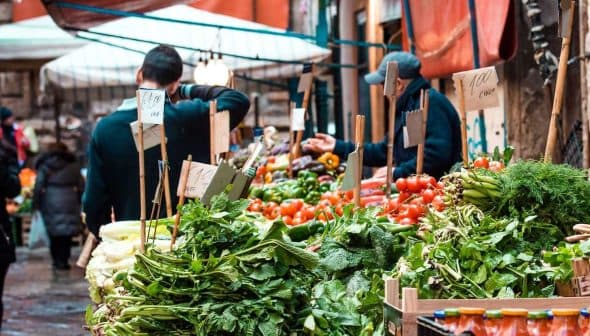 Vegetable market with various fresh produce including greens, tomatoes, and herbs displayed on wooden crates. - Olive Oil Times