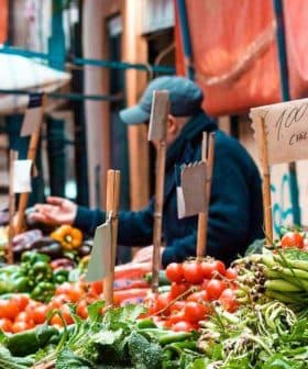 A market stall displaying various fresh vegetables including tomatoes, peppers, and greens. - Olive Oil Times
