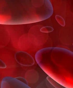 Abstract illustration featuring red blood cells in a gradient red background. - Olive Oil Times