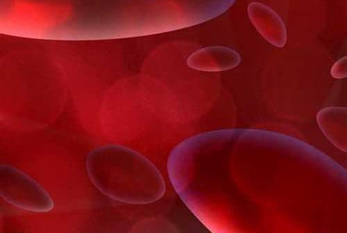 Abstract illustration featuring red blood cells in a gradient red background. - Olive Oil Times