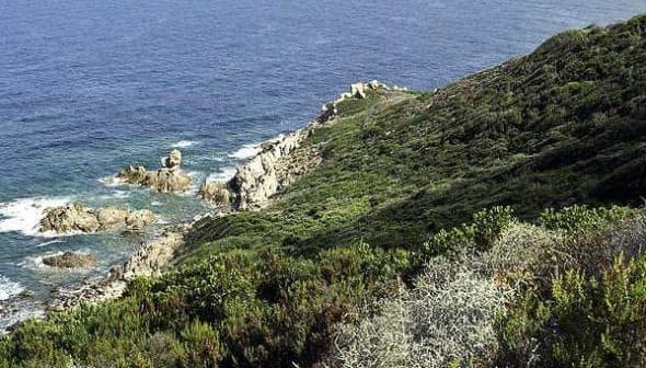 Coastal view featuring rocky shoreline and vegetation along the water's edge. - Olive Oil Times
