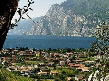 A scenic view of Lake Garda featuring mountains and a village with terracotta-roofed buildings. - Olive Oil Times