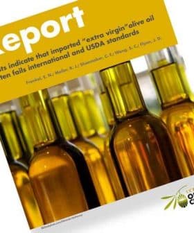 Cover of a report titled 'Report' with images of olive oil bottles and text about olive oil standards. - Olive Oil Times