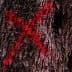 Close-up view of tree bark featuring red markings and natural texture. - Olive Oil Times
