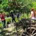 Wooden cart in a garden with orange trees and visitors taking photos nearby. - Olive Oil Times