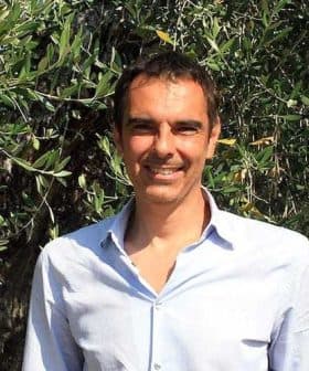 A man wearing a light blue shirt standing in front of an olive tree with green leaves. - Olive Oil Times