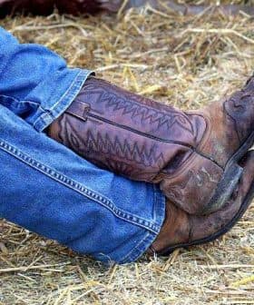 A pair of brown cowboy boots worn by a person seated, with blue jeans visible. - Olive Oil Times