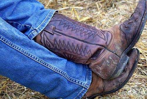 A pair of brown cowboy boots worn by a person seated, with blue jeans visible. - Olive Oil Times
