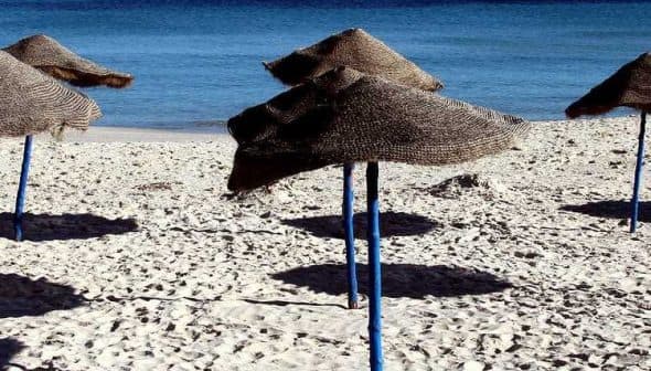 Several straw beach umbrellas with blue poles set up on a sandy beach near the ocean. - Olive Oil Times