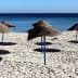 Several straw beach umbrellas with blue poles set up on a sandy beach near the ocean. - Olive Oil Times