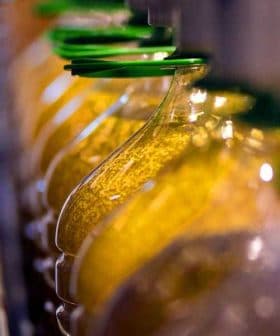 Row of glass bottles filled with olive oil on a production line with green caps. - Olive Oil Times