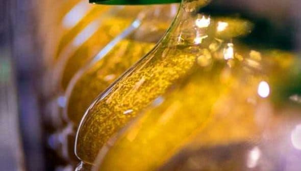 Row of glass bottles filled with olive oil on a production line with green caps. - Olive Oil Times
