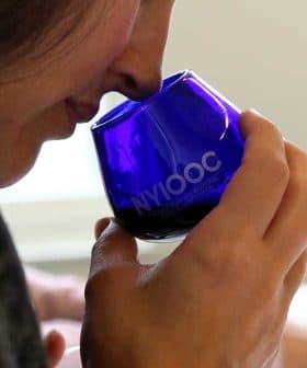 Individual holding a blue glass cup while smelling olive oil during a tasting session. - Olive Oil Times