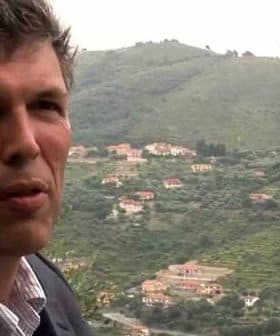 A man in a suit standing in front of an olive grove on a hillside. - Olive Oil Times