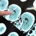 A hand pointing at a series of brain scans displayed on a screen. - Olive Oil Times