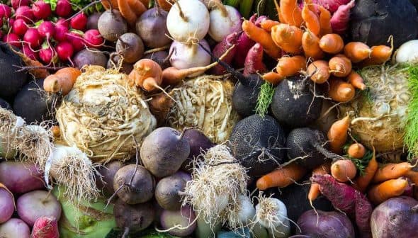 A collection of various root vegetables including radishes, carrots, and turnips arranged together. - Olive Oil Times