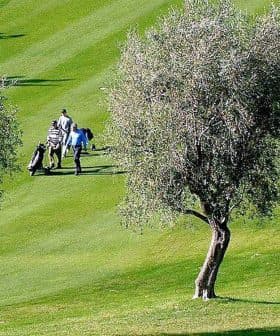 Two golfers walking on a green golf course surrounded by olive trees. - Olive Oil Times