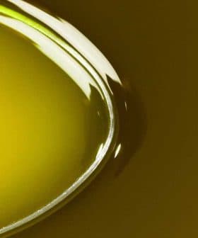 Close-up of olive oil in a spoon with a smooth, glossy surface reflecting light. - Olive Oil Times