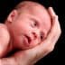 A newborn baby resting on an adult's hand with a neutral expression and wide-open eyes. - Olive Oil Times