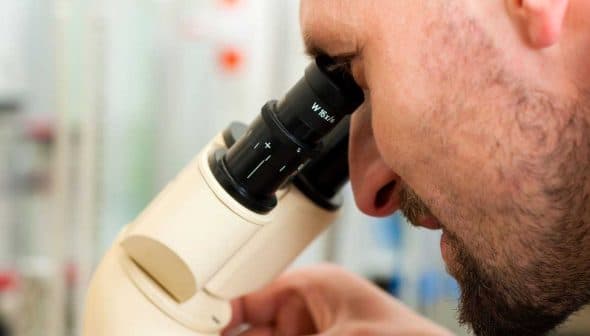 A man closely examining a sample through a microscope in a laboratory setting. - Olive Oil Times