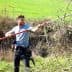 Man using a long pole to prune olive trees in a field. - Olive Oil Times