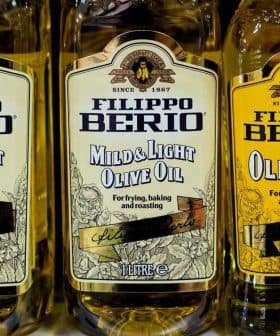 Three bottles of Filippo Berio olive oil labeled 'Mild & Light' and 'Olive Oil' on a shelf. - Olive Oil Times