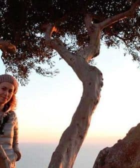 Woman with curly hair sitting on a branch of an olive tree during sunset. - Olive Oil Times