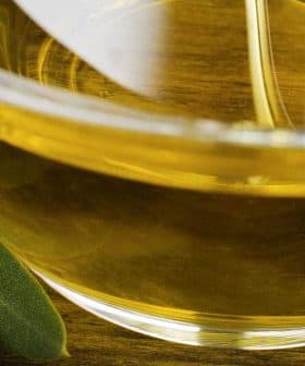Close-up of a glass bowl filled with olive oil, surrounded by olives and olive leaves. - Olive Oil Times