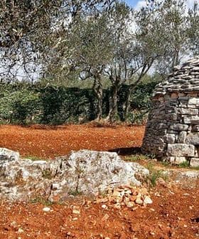 A traditional stone trullo structure with a conical roof located in a rural area of Istria. - Olive Oil Times
