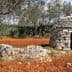 A traditional stone trullo structure with a conical roof located in a rural area of Istria. - Olive Oil Times