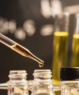 A hand with a blue glove holding a pipette above several test tubes containing yellow liquid. - Olive Oil Times