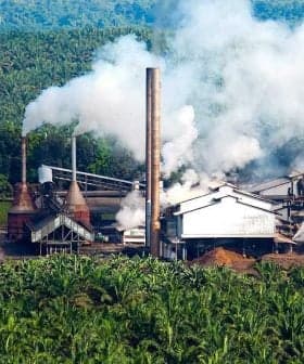 Palm oil processing facility with smoke rising from chimneys surrounded by palm trees. - Olive Oil Times