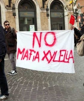 Demonstrators holding banners during a protest against Xylella in Rome, Italy. - Olive Oil Times