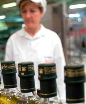 Row of olive oil bottles with green caps on a production line in a factory setting. - Olive Oil Times
