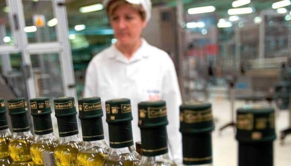 Row of olive oil bottles with green caps on a production line in a factory setting. - Olive Oil Times