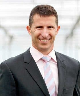 Man wearing a dark suit and light blue striped tie, smiling in a greenhouse setting. - Olive Oil Times