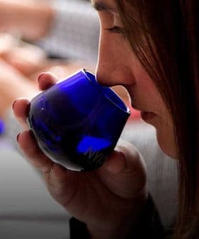 Individual smelling olive oil from a blue tasting cup during a tasting session. - Olive Oil Times