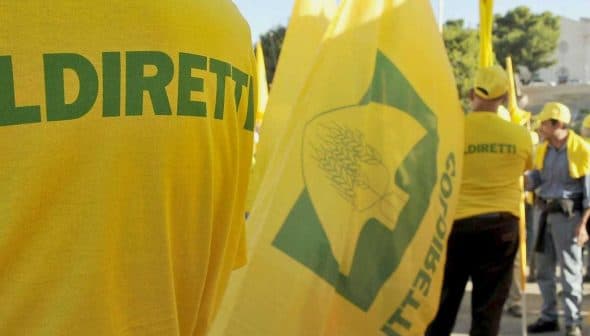 Individuals wearing yellow t-shirts with 'COLDIRETTI' printed on the back at an outdoor event. - Olive Oil Times